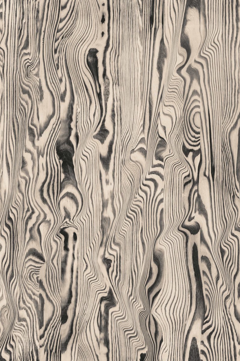 Vibrant Veneer Grey - Bild 3