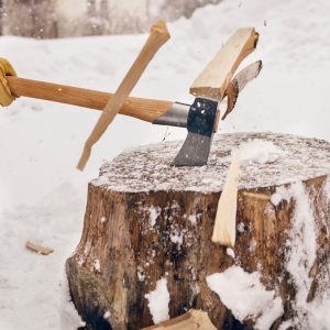 Gränsfors Minsta Klyvyxa