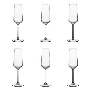 Champagneglas, 6-pack – Allegra, 195 ml